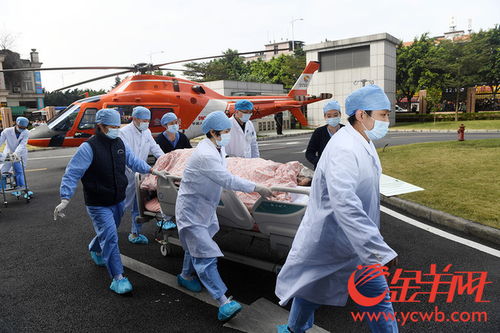 一场感冒竟致三次心脏骤停 14岁少女由直升机转运至广州急救