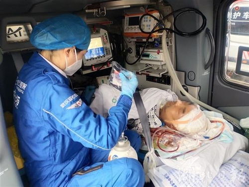 一场跨越近300公里的空中转运,武汉石首两地接力救治重型颅脑损伤患者